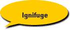 Ignifuge